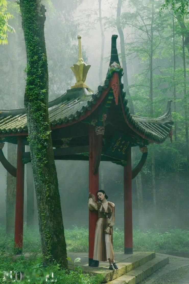 金刚鹦鹉逃生