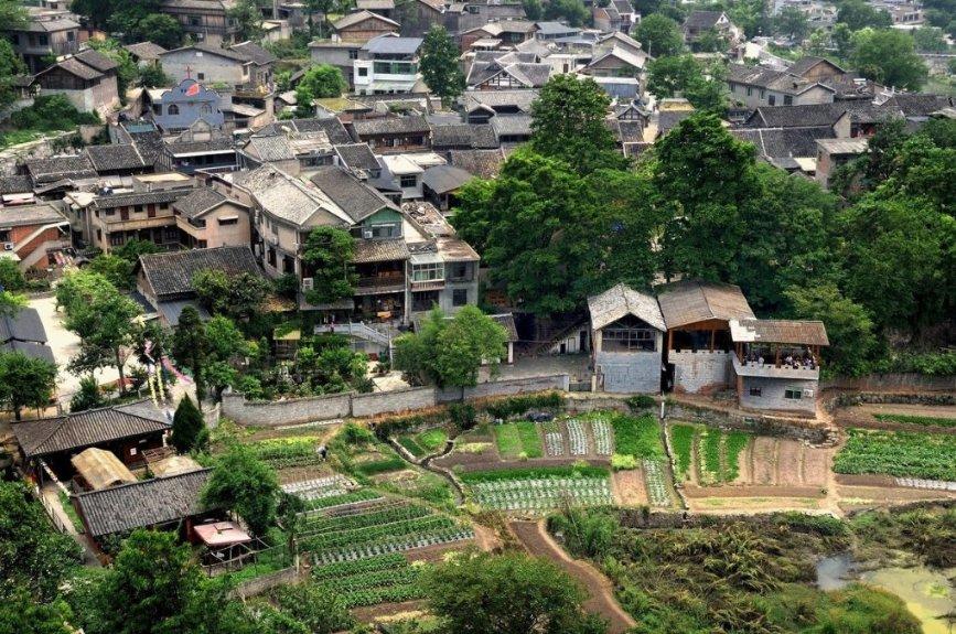 动物帮帮忙保卫家园